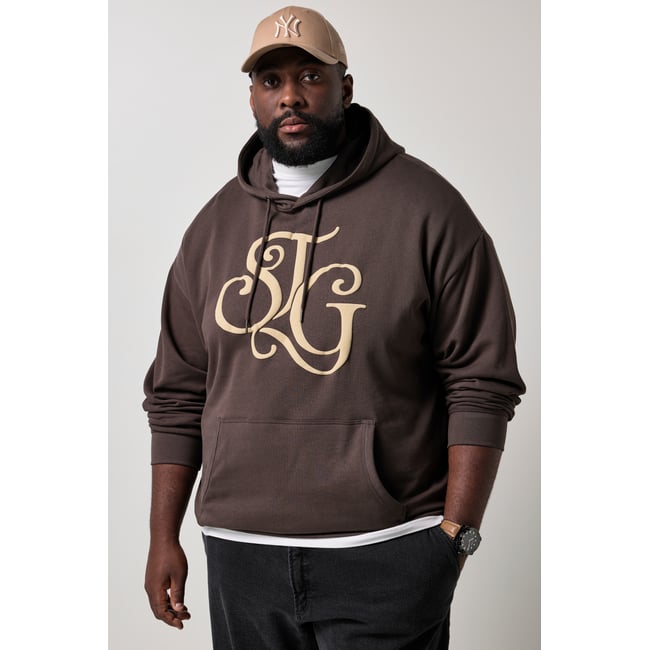 Sweat-shirt à capuche, coupe décontractée marron châtaigne <span itemprop=