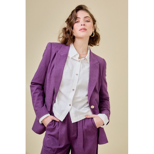 Blazer de fato violeta <span itemprop=
