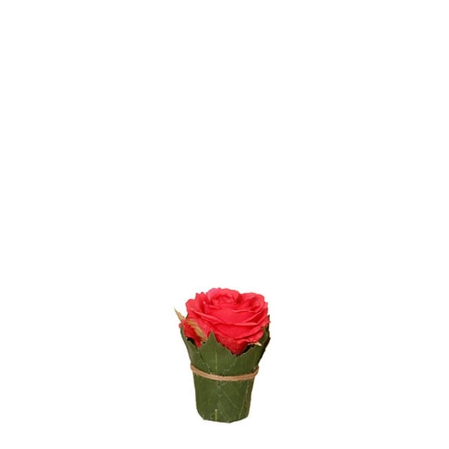 Composition de roses entourée de feuilles artificielles H9 - SIA DECO