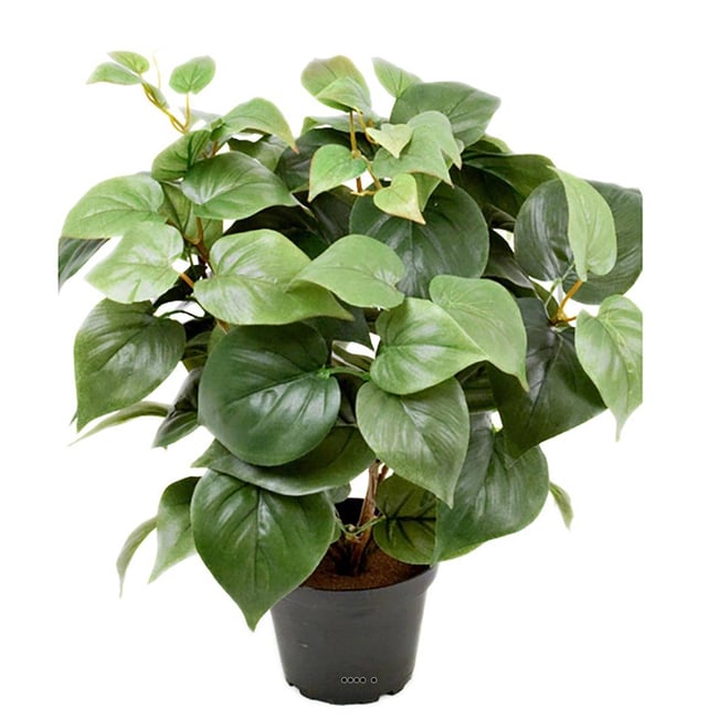 Philodendron artificiel en pot H 35 cm Couleur v002239 <span itemprop=