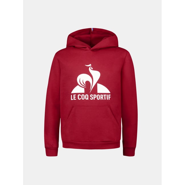 Sweat à capuche Essentiels v002231 <span itemprop=
