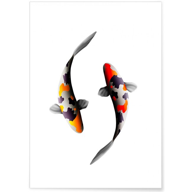 Poster Carpes Koi Couleur blanc <span itemprop=