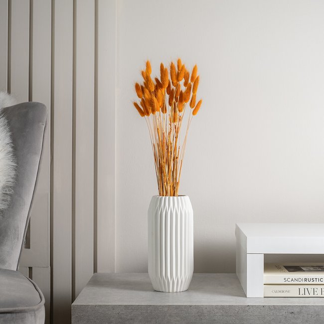 50-60cm Bunny Tails/Lagurus Ovatus Bunch in Rust Orange (50 stems approx.), orange, SO'HOME