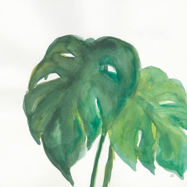 Tableau plante aloe watercolor - HEXOA