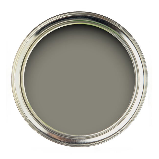 Active Emulsion Paint Wren Feather, wren feather, SANDERSON