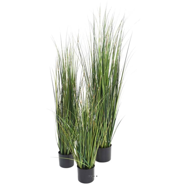 Graminée en pot artificielle Herbe à oignon b Couleur vert <span itemprop=