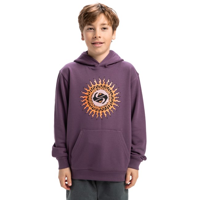 Sweat à capuche GRAPHIC violet vintage violet <span itemprop=