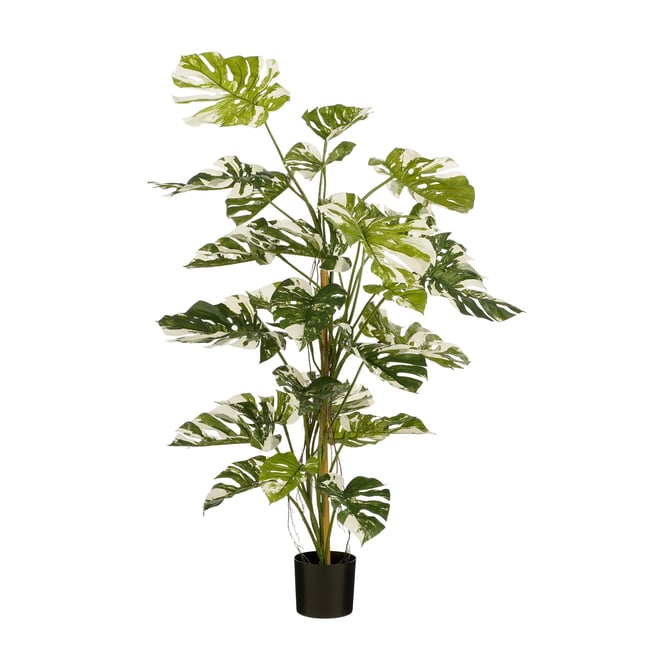 Plante artificielle MONSTERA Couleur vert <span itemprop=
