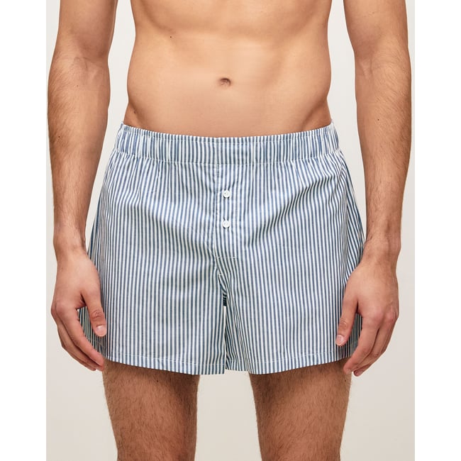 Caleçon rayé en coton RAYICHAMBRIZ bleu <span itemprop=