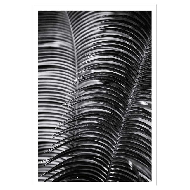 Poster jungle Sun palm - HEXOA