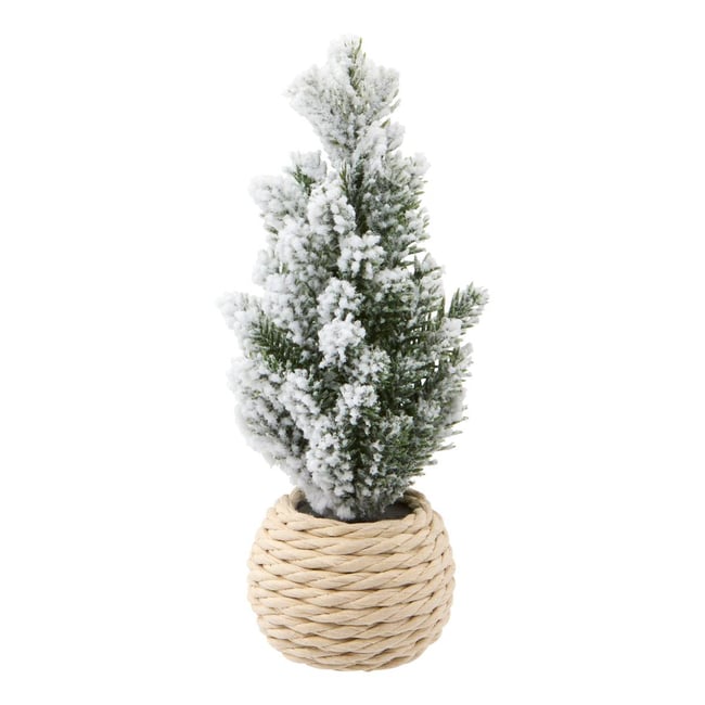 SAPIN BRCH DISP CORDE H15 - FEERIC LIGHTS & CHRISTMAS