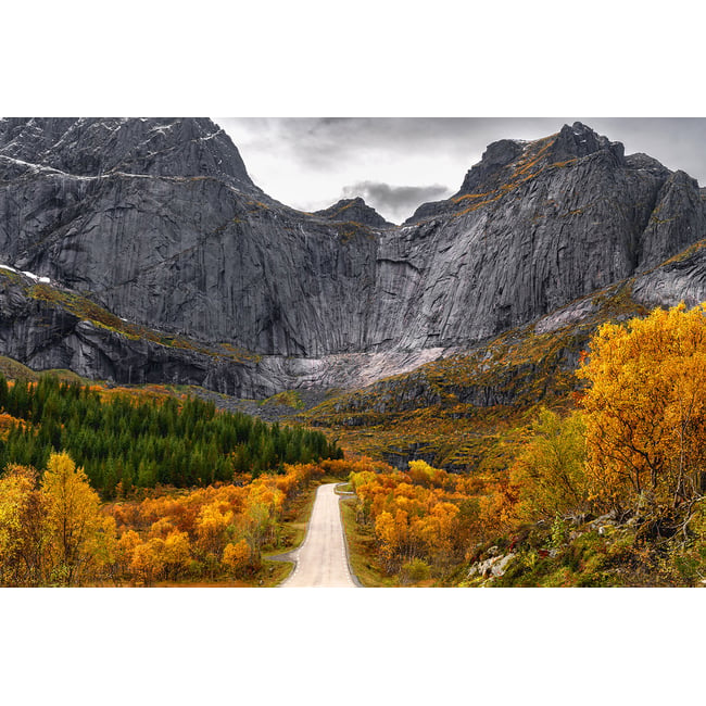 Tableau Lofoten, Face au mur - HEXOA