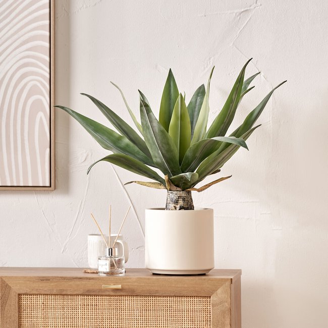 53cm Agave Plant in Pot, green, SO'HOME
