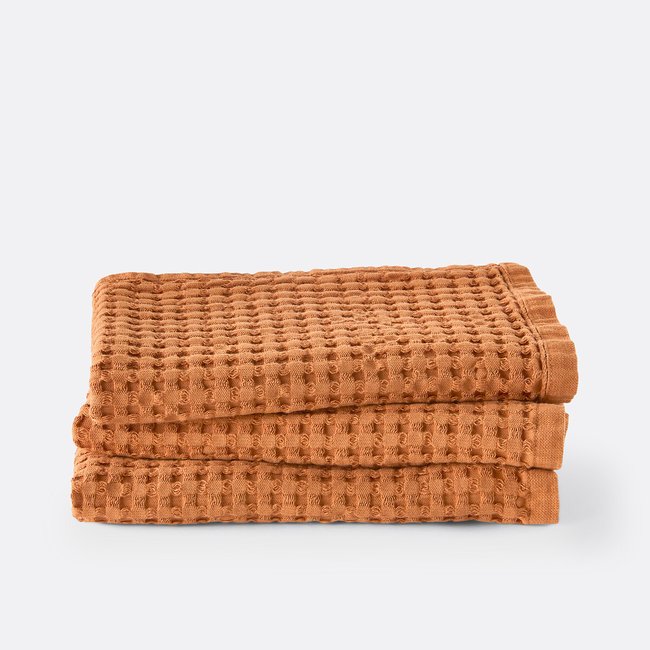 Lot de 3 serviettes invités TIFLI - LA REDOUTE INTERIEURS