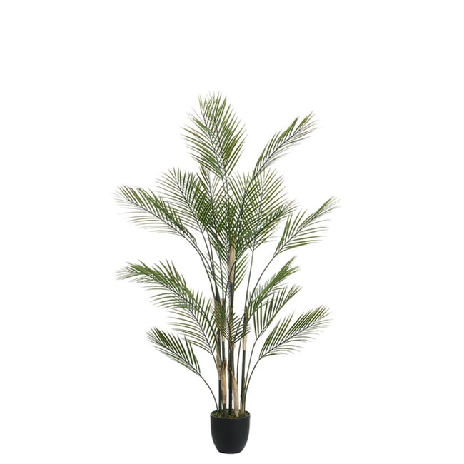 Palmier Kwai en pot artificiel H150 Couleur vert <span itemprop=