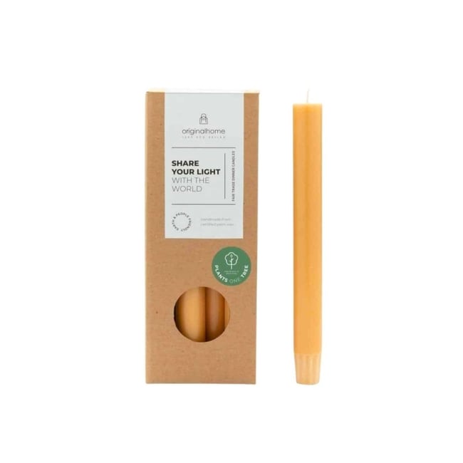 Set de 10 bougies cierges 20 cm Couleur doré <span itemprop=