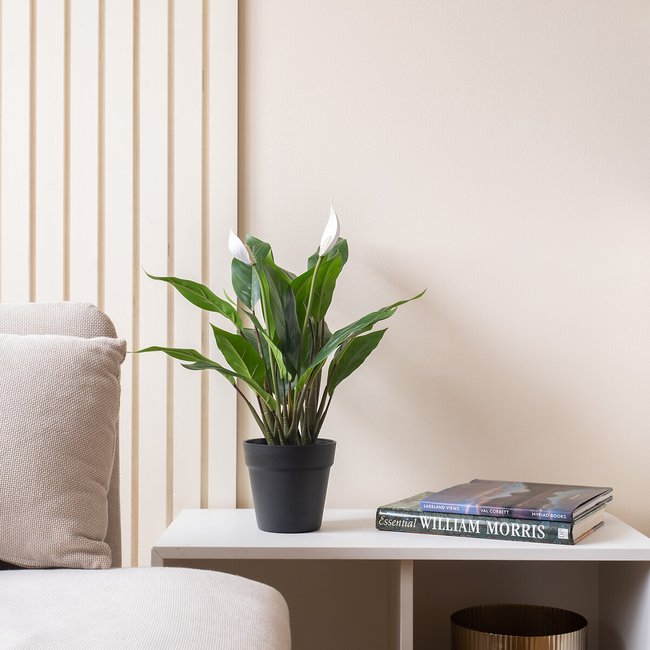 49cm Artificial Peace Lily Plant, green, SO'HOME