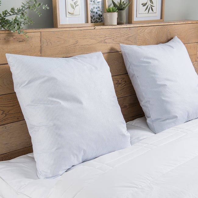 Oreiller Plumes Ferme - 100% plumettes Couleur blanc <span itemprop=