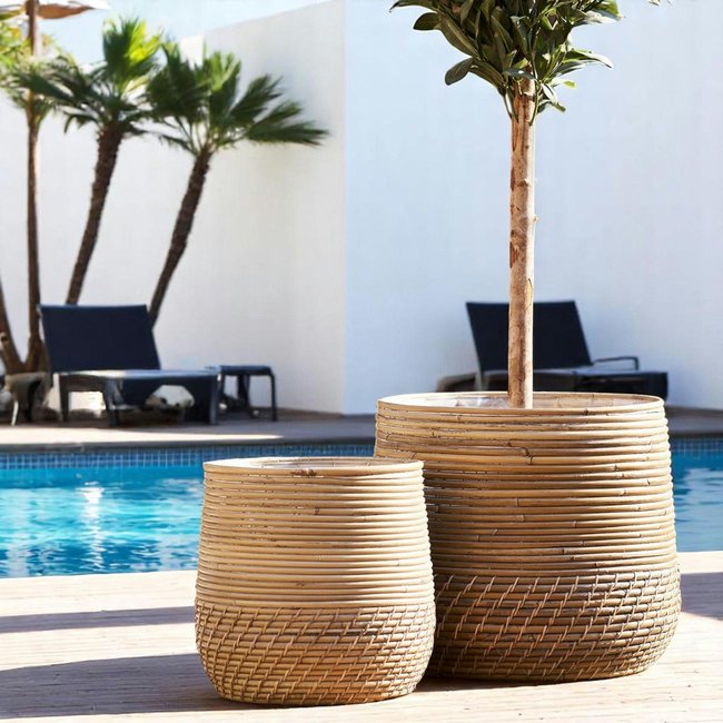Cache-pot en rotin pour grandes plantes (lot de 2) Couleur beige <span itemprop=
