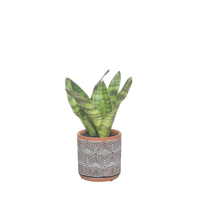Conjunto vasos com planta artificial 