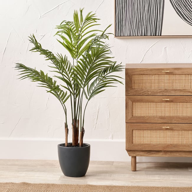 120cm Areca Palm Plant in Pot, green, SO'HOME