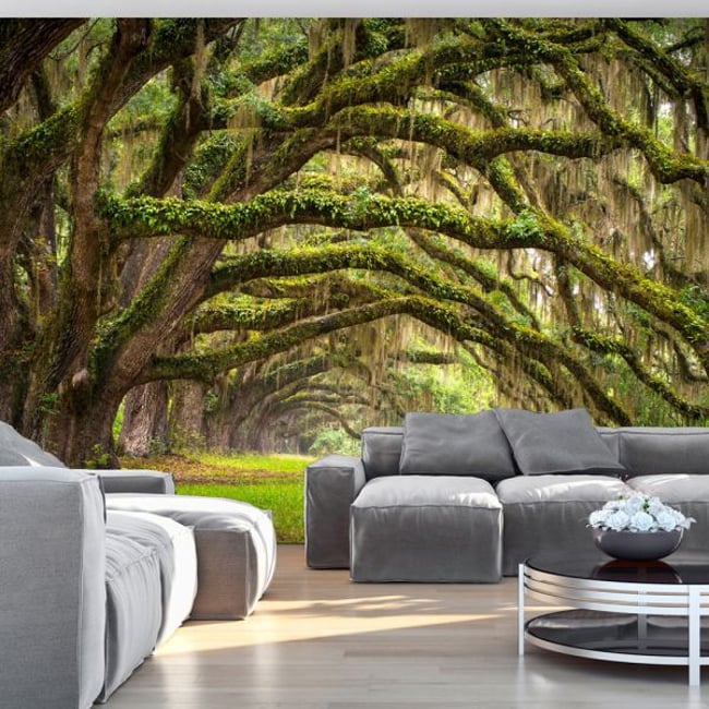 Papier peint intissé panoramique Paysage Tree embrace Couleur vert <span itemprop=