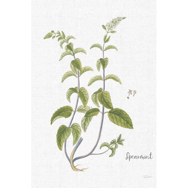 Tableau fleurs Menthe verte illustrée - HEXOA