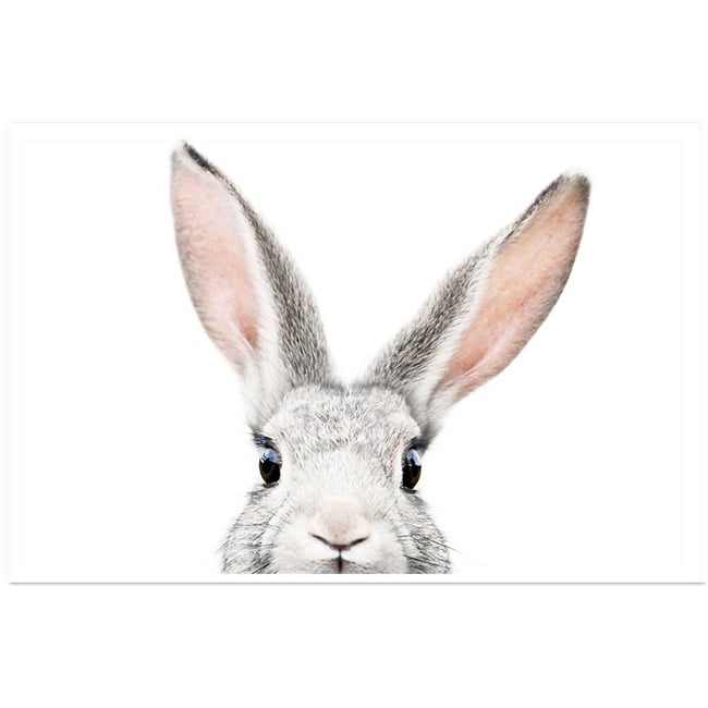 Affiche enfant lapin - HEXOA
