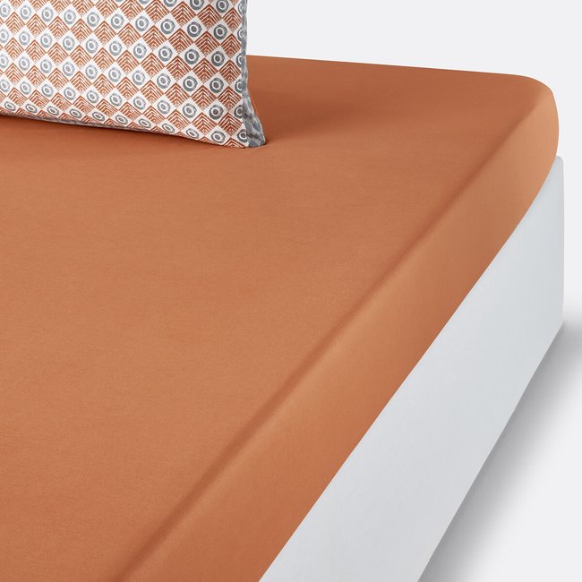 Lenzuolo con angoli in cotone, Pessoa caramello LA REDOUTE INTERIEURS