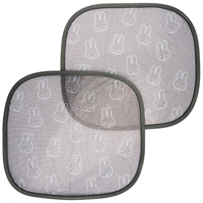 Lot de 2 pare-soleil statique pour voiture gris <span itemprop=
