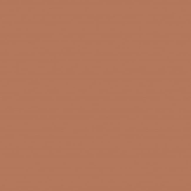 Active Emulsion Paint Squirrel, squirrel, SANDERSON