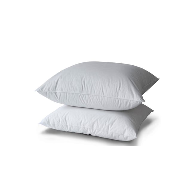 Oreiller 30% Duvet Canard - Medium Couleur blanc <span itemprop=