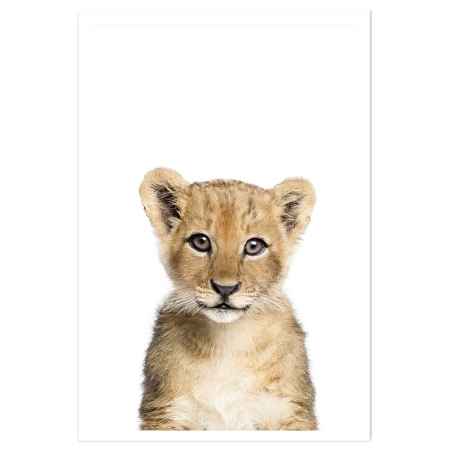 Affiche enfant bébé lionceau - HEXOA