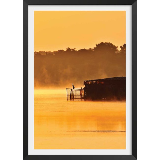 Affiche photo héron sur l'étang blanc - HEXOA