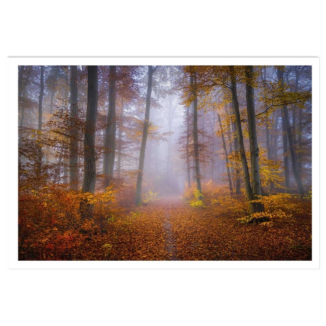 Affiche Chemin d'automne - HEXOA