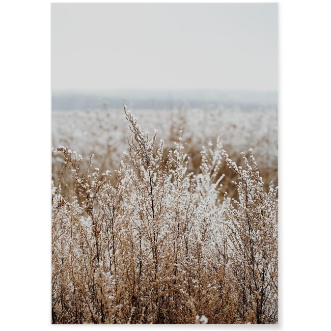 Poster Nature Winter 2 Couleur blanc <span itemprop=