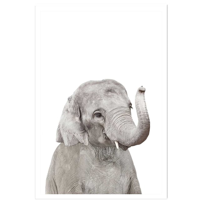 Affiche enfant bébé élephant - HEXOA