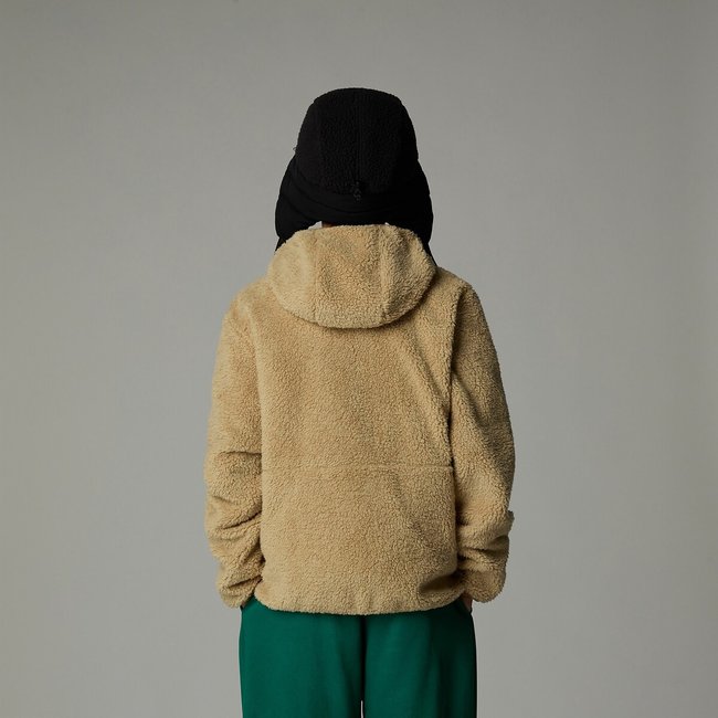 Sherpa hoodie north face clearance