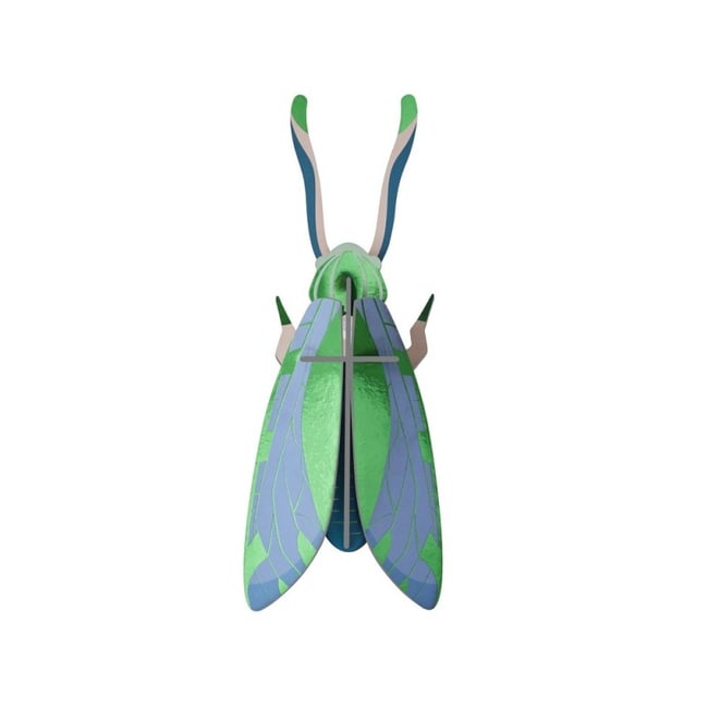 Sauterelle décoration murale carton métallisé  Grasshopper Couleur v019845 <span itemprop=