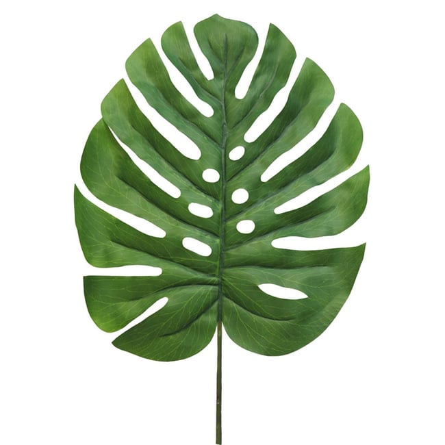 Feuille de Monstera artificielle, H90cm, Couleur v002239 <span itemprop=
