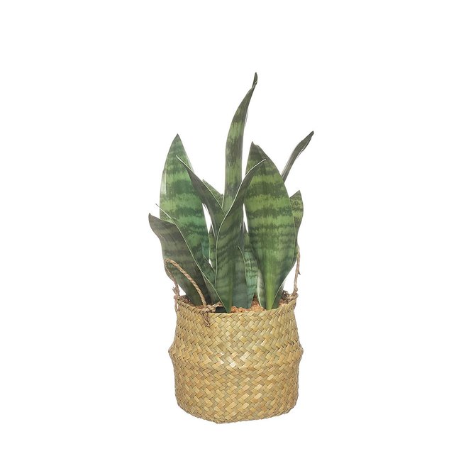 Conjunto de vasos com planta artificial 