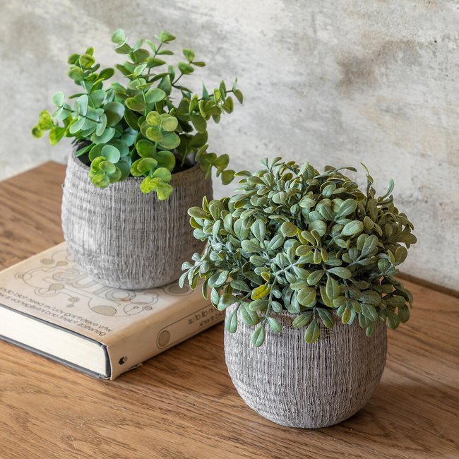 Set of 2 Sage Potted Plants in Ceramic Scratch Pots, natural, ÉDITÉ