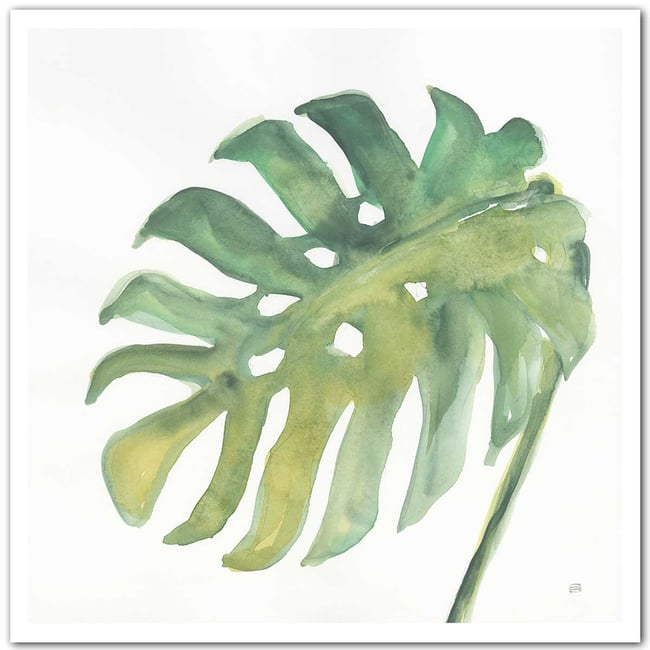 Affiche Plame watercolor - HEXOA