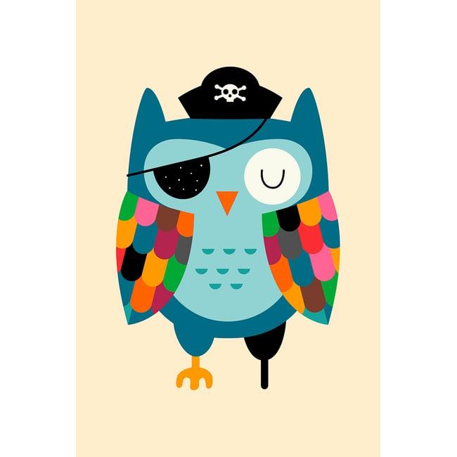 Tableau capitaine hibou Couleur toile imprimée <span itemprop=