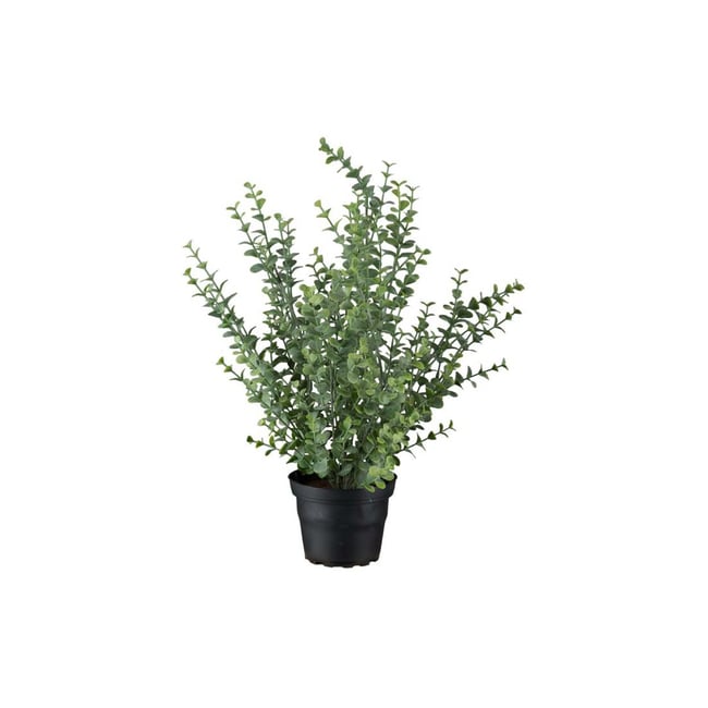Eucalyptus artificiel en pot H 40 cm D 28 cm Couleur v002239 <span itemprop=