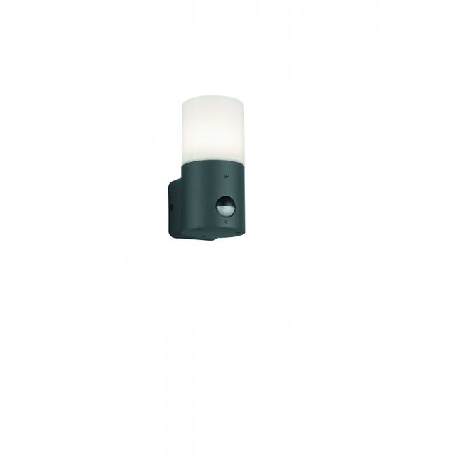 Applique extérieur à capteur de mouvement Hoosic Couleur anthracite <span itemprop=