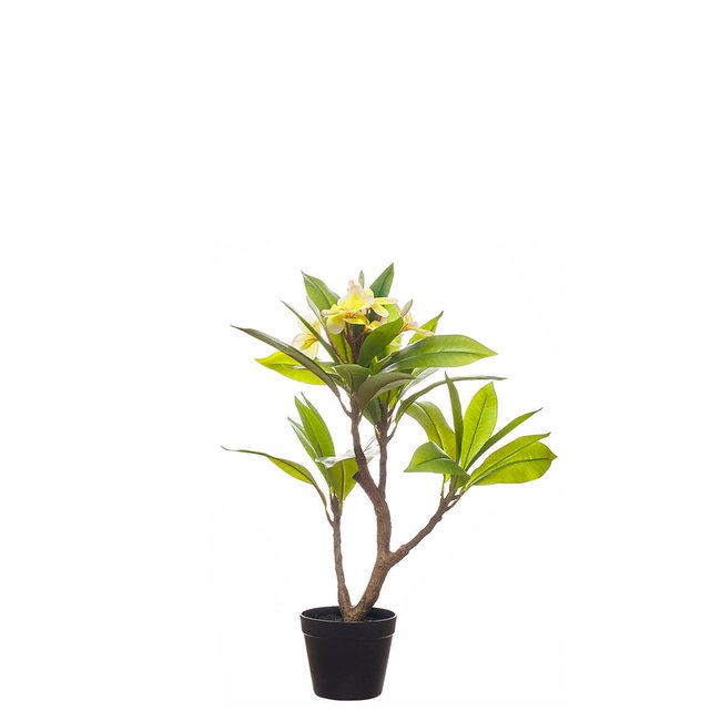 Planta artificial 