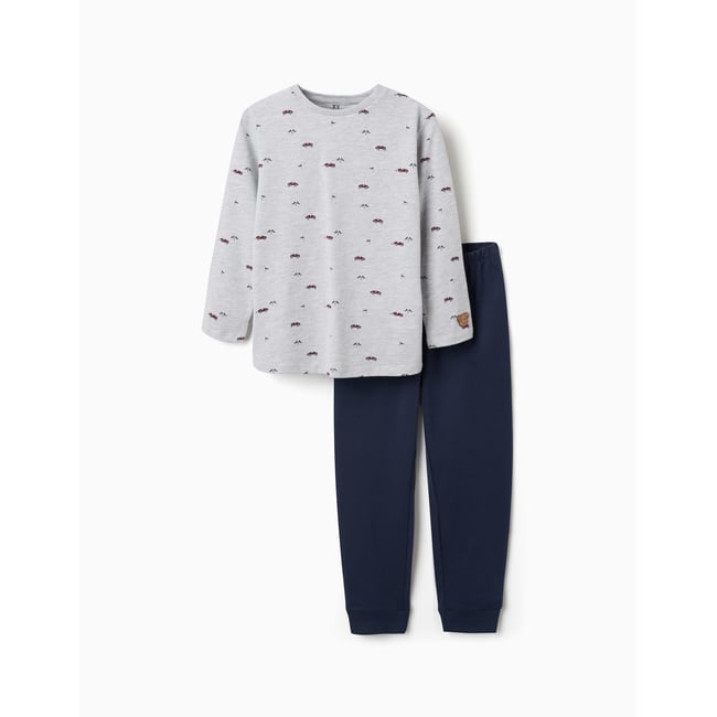 Pyjama à manches longues avec motif de voitures de course gris <span itemprop=