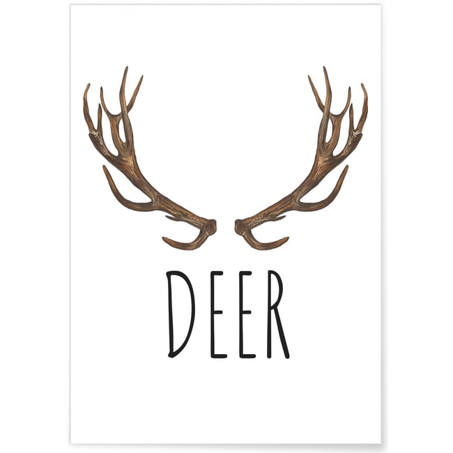 Affiche DEER Couleur blanc <span itemprop=