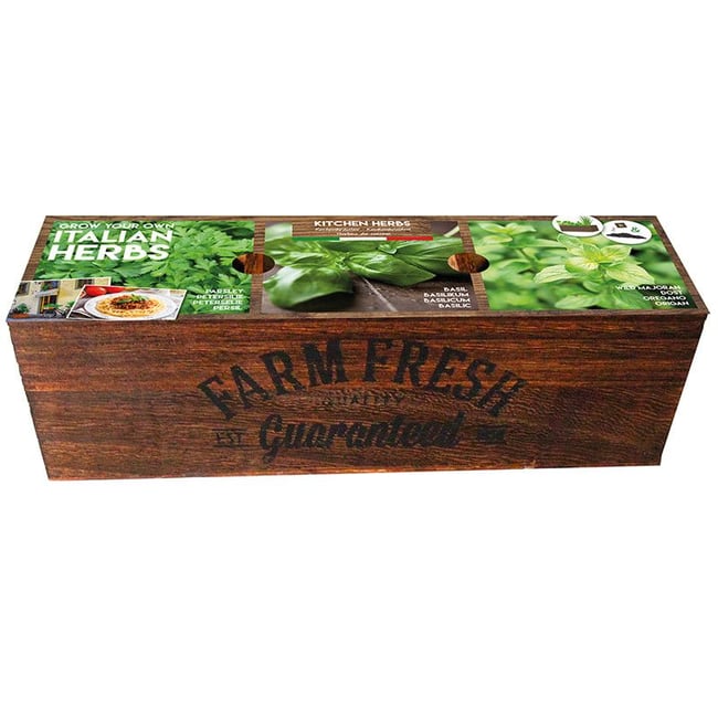 Kit prêt à pousser - Herbes de cuisine Italiennes - FLOREX
